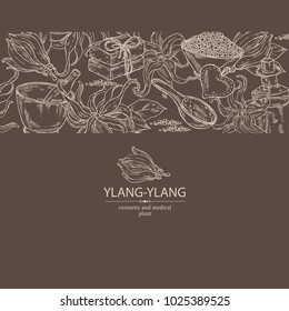 Background with ylang ylang flower, leaves, essential oil, soap, bath salt and mortar and pestle. Cosmetic, perfumery and medical plant. Vector hand drawn illustration. 