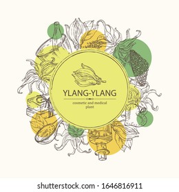 Background with ylang ylang flower, leaves, essential oil, soap, bath salt and mortar and pestle. Cosmetic, perfumery and medical plant. Vector hand drawn illustration. 