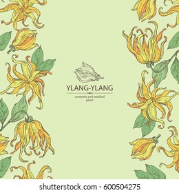 Background with ylang-ylang. Cosmetics and medical plant. hand drawn