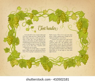 Background for your text with oldest paper and vines in vintage style. Green brunch of grapes pattern on beige background.