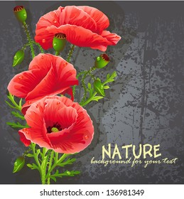 Background for your text with red poppies. Vector illustration for web design, print, magazine, poster.