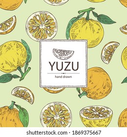 Background With Yuzu: Fruts, Leaves And Yuzu Slice. Citrus Junos. Vector Hand Drawn Illustration