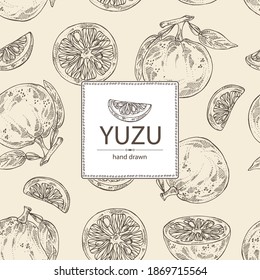 Background With Yuzu: Fruts, Leaves And Yuzu Slice. Citrus Junos. Vector Hand Drawn Illustration