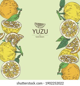 Antecedentes con yuzu: frutas, hojas y yuzu rebanadas. Citrus junos. Ilustración dibujada a mano por el vector