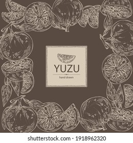 Antecedentes con yuzu: frutas, hojas y yuzu rebanadas. Citrus junos. Ilustración dibujada a mano por el vector