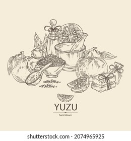 Background with yuzu: fruts, leaves, yuzu slice and bath salt, soap and beauty products. Citrus junos. Cosmetic, perfumery and medical plant. Vector hand drawn illustration.
