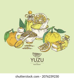 Background with yuzu: fruts, leaves, yuzu slice and bath salt, soap and beauty products. Citrus junos. Cosmetic, perfumery and medical plant. Vector hand drawn illustration.