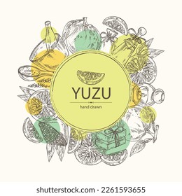 Background with yuzu: fruts, leaves, yuzu slice and bath salt, soap and beauty products. Citrus junos. Cosmetic, perfumery and medical plant. Vector hand drawn illustration.