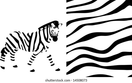 Background from zebra