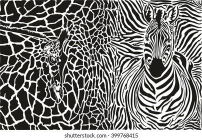 Background with zebra and giraffe