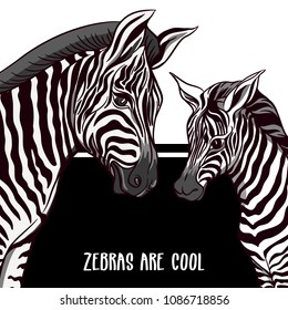 Background with zebra mother and her child.  Good for greeting card for happy mother's Day, for birthday,  invitation or banner for zoo or family party. Vector Illustration.