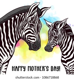 Background with zebra mother and her child on rainbow watercolor background.  Good for greeting card for happy mother's Day, for birthday,  banner for zoo or family party. Vector Illustration.