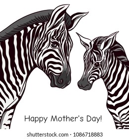 Background with zebra mother and her child.  Good for greeting card for happy mother's Day, for birthday,  invitation or banner for zoo or family party. Vector Illustration.