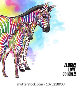 Background with zebra mother and her child with rainbow stripes.  Good for greeting card for happy mother's Day, for birthday, banner for zoo or family party. Vector Illustration.