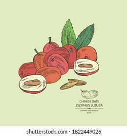 Background with ziziphus Juyuba: ziziphus Juyuba fruits and unabi leaves. Chinese date. Cosmetic and medical plant. Vector hand drawn illustration
