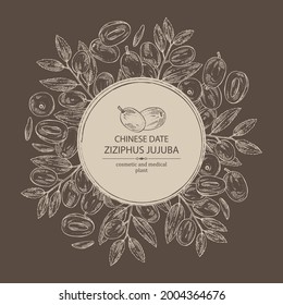Background with ziziphus Juyuba: ziziphus Juyuba fruits and unabi leaves. Chinese date. Cosmetic and medical plant. Vector hand drawn illustration