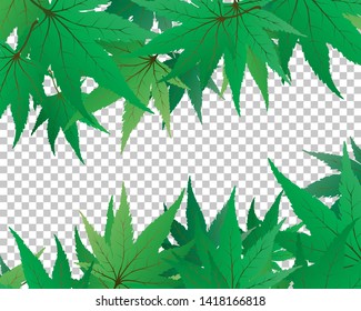 Backgroundframe from maple leaves with transparency grid on back. Vector Illustration.