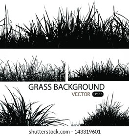 Backgrounds of fresh spring grass.Vector illustration.