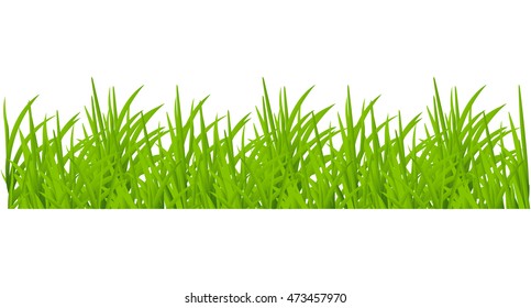 Backgrounds Of Green Grass