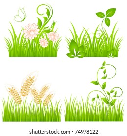Backgrounds of green grass. Floral element for design.