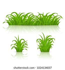 Backgrounds of Green Grass. Isolated on White Background