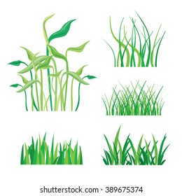 Backgrounds of Green Grass Isolated On White Vector Illustration