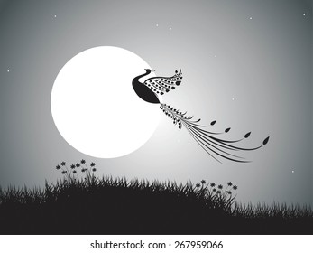 backgrounds night sky with stars and moon and bird. vector