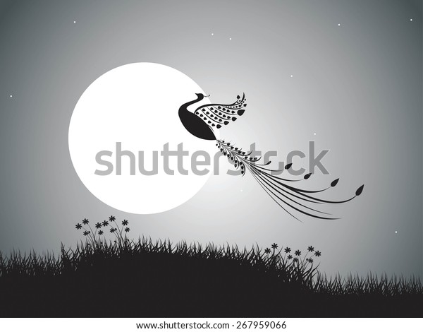 backgrounds night sky with stars and moon and\
bird. vector