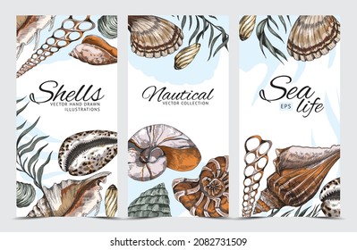 Backgrounds set with hand drawn sea shells, engraving color vector illustration. Marine design for cards and brochures, banners or flyer sheet with sea life elements.