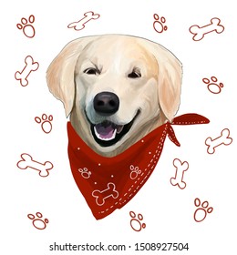 Background,vector. sticker, sticker portrait golden retriever isolated on White . Golden retriever vector red bandana illustration suitable for printing for print for t-shirts, sweatshirts.