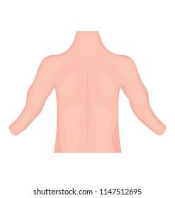Backside of human body denoting back muscle icon
