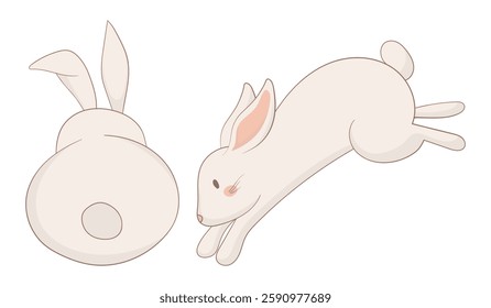 Back-view and jumping bunny icon. One rabbit is leaping gracefully while the other is shown from behind. Simple and charming animal illustration