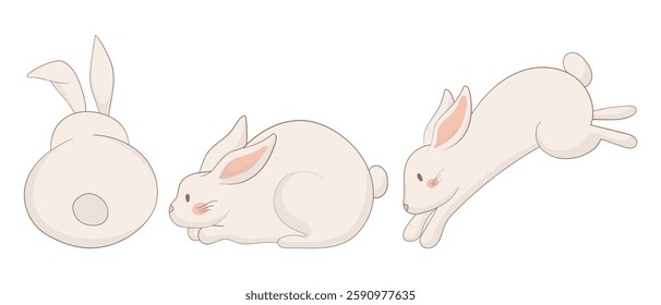 Back-view, sitting, and sleeping bunny icon. One rabbit is viewed from behind, another sits upright looking up, and the third is curled up asleep. A soft and calming animal illustration