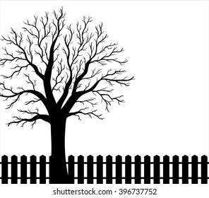 Backyard background with tree and fence
