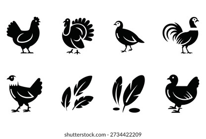 Conjunto de silhueta de galinha de quintal, ícones de galo e galinha, acentos de pena, evento de show de aves, sessão de classe homestead, gráficos de cartaz de feira agrícola