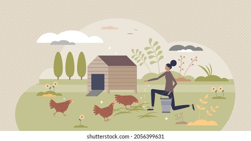 Backyard chickens farming and hens feeding with seeds tiny person concept. Ecological domestic animal care for organic slow food vector illustration. Happy and ethical birds keeping for eggs and meat.