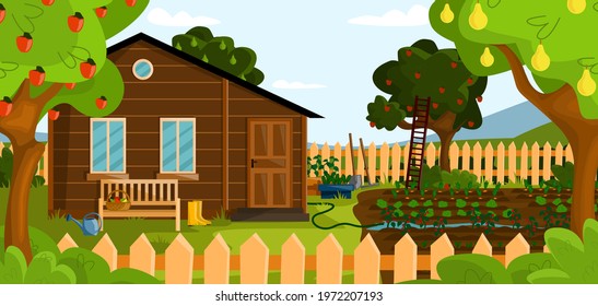 The backyard of a house in suburb neighborhood. Summer or autumn garden  with grass, trees, bushes, furniture, garden tools, wood fence and vegetable garden.
