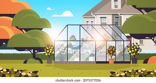 backyard planting greenhouse glass orangery botanical garden with flowers and potted plants