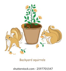 Backyard squirrels. Vector illustration of backyard squirrels feasting on the flowers in a backyard potted flowering plant.