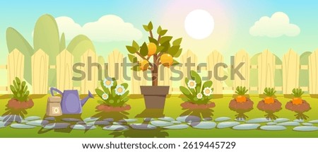 Backyard vegetable garden. Flowerbed with flowers and crops, along the path. Vector, flat illustration, cartoon. Back garden with lemon tree and farm equipment, landscape.