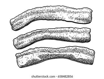 Bacon illustration, drawing, engraving, ink, line art, vector