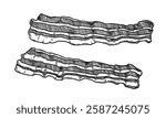 Bacon two crispy slices food illustration in the graphic line art style. Hand drawn outline element of breakfast meat meal. Perfect for menu creating and modern sketch designs.