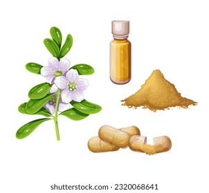 Bacopa set vector illustration. Cartoon isolated brahmi flowers and leaves on branch, nootropic powder pile and herbal ingredient for capsules, bacopa extract oil in bottle for Ayurveda medicine