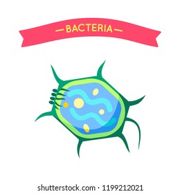 Bacteria applique for biology or bacteriology material. Flat vector fancy tortoise microbe cartoon projection for medicine educational board poster.