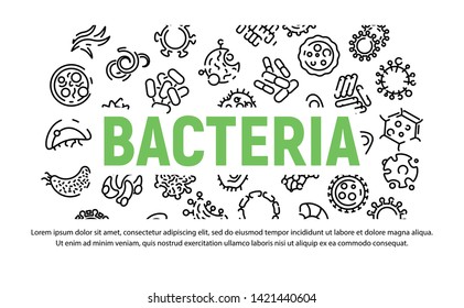 Bacteria banner. Outline illustration of bacteria vector banner for web design