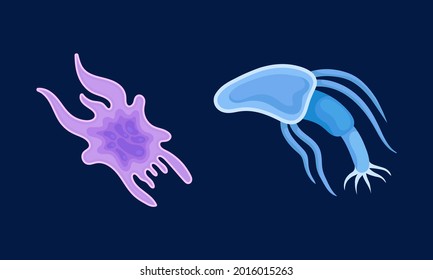 Bacteria as Biological Cell and Prokaryotic Microorganism Vector Set