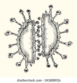 bacteria cartoon hand draw isolated in light color