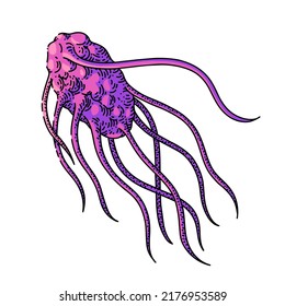 bacteria cell hand drawn vector. microorganism pathogen, health medicine, human infection, flu bacteria cell sketch. isolated color illustration