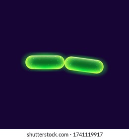 Ilustración vectorial realista de células bacterianas