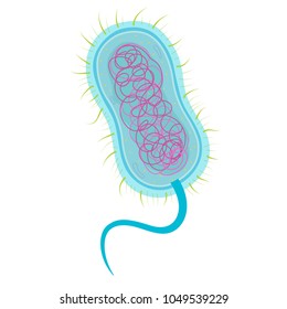 174 Plasmid isolation Images, Stock Photos & Vectors | Shutterstock